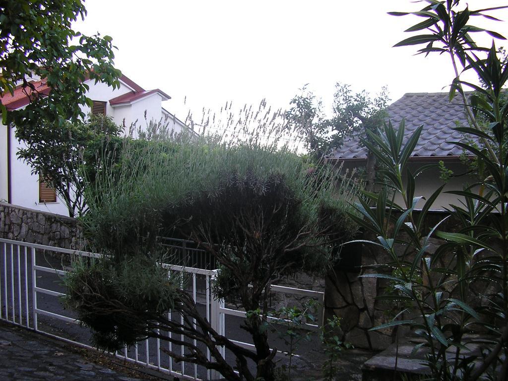 Apartment Bilić Klenovica Oda fotoğraf